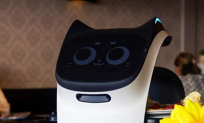 Revolutionary robot waiter in Swiss city risks losing its job due to errors