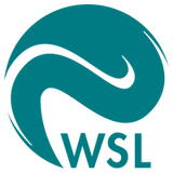 WSL - Company logo