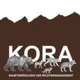 KORA - Company logo